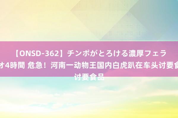 【ONSD-362】チンポがとろける濃厚フェラチオ4時間 危急！河南一动物王国内白虎趴在车头讨要食品