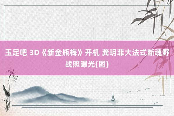 玉足吧 3D《新金瓶梅》开机 龚玥菲大法式断魂野战照曝光(图)