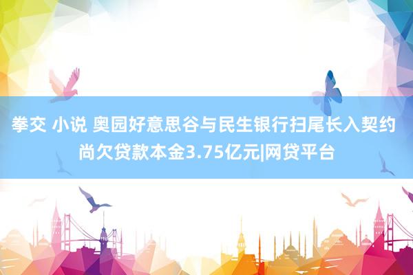 拳交 小说 奥园好意思谷与民生银行扫尾长入契约 尚欠贷款本金3.75亿元|网贷平台