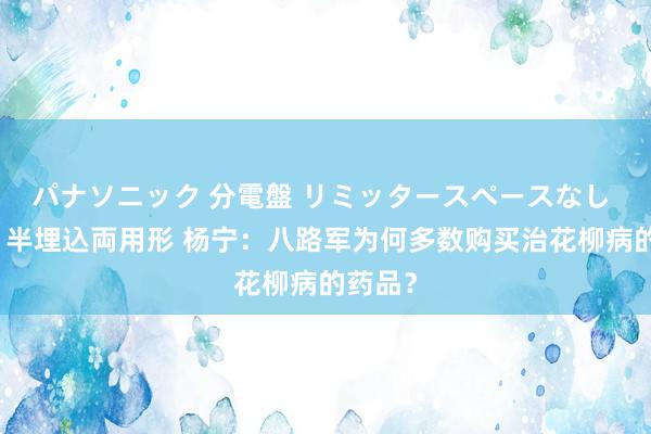 パナソニック 分電盤 リミッタースペースなし 露出・半埋込両用形 杨宁：八路军为何多数购买治花柳病的药品？