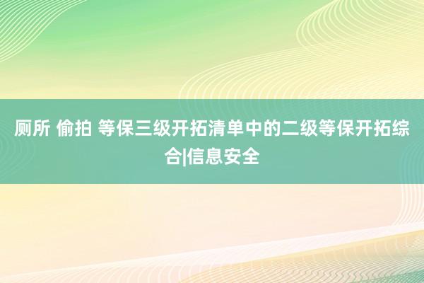 厕所 偷拍 等保三级开拓清单中的二级等保开拓综合|信息安全