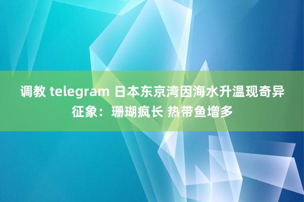 调教 telegram 日本东京湾因海水升温现奇异征象：珊瑚疯长 热带鱼增多