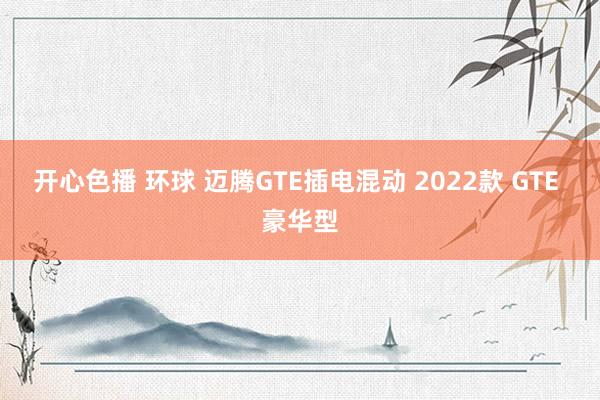 开心色播 环球 迈腾GTE插电混动 2022款 GTE 豪华型