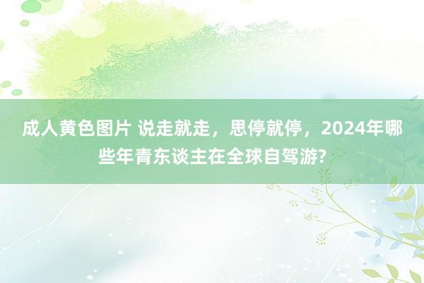 成人黄色图片 说走就走，思停就停，2024年哪些年青东谈主在全球自驾游?